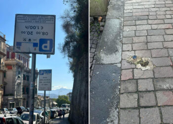 Cartello imbarazzante rimosso, Manzo (FdI): «Battaglia vinta»