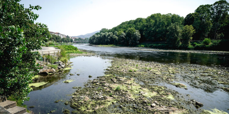 Il fiume Po a Cremona non è mai stato così basso