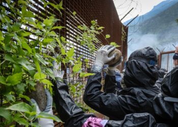 Danni ai cantieri Tav, non ci sono operai feriti