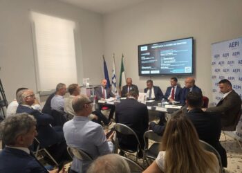 La sfida tecnologica della produttività nei servizi per le micro imprese italiane