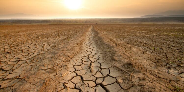 Super El Niño, prezzi del cibo su fino al 2028: la spesa degli italiani rischia un +15,8%