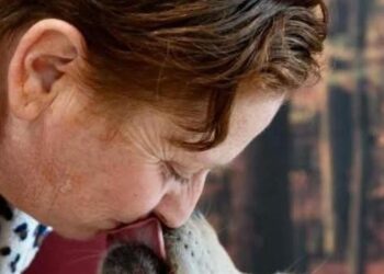 ‘Avverte’ proprietaria di un tumore, Premio Fedeltà del cane a Joy