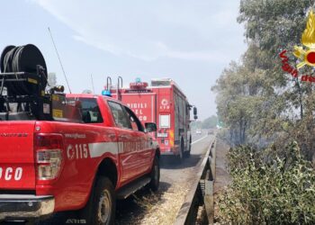 Mille incendi in più nel Veneto tra gennaio e agosto