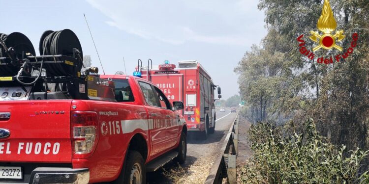 Mille incendi in più nel Veneto tra gennaio e agosto