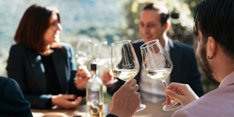 Vendemmia parte bene, ma serbatoi cantine ancora pieni di giacenze