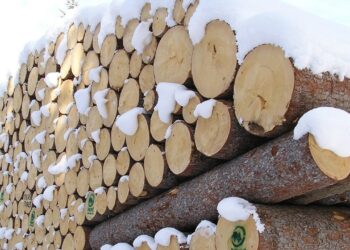 Aiel e Uncem, ‘incentivi anche per le caldaie a legna e pellet’