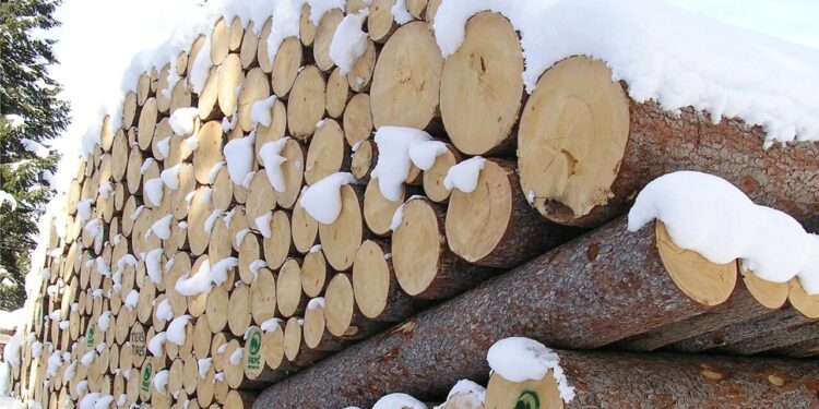 Aiel e Uncem, ‘incentivi anche per le caldaie a legna e pellet’