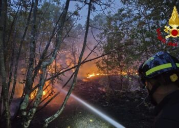 Incendio sul Carso triestino, pronti a evacuare case e strutture