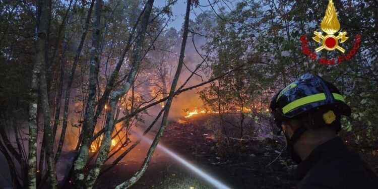 Incendio sul Carso triestino, pronti a evacuare case e strutture
