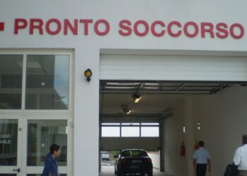 Salgono a diciotto i casi di contagio di febbre del Nilo nell’Oristanese