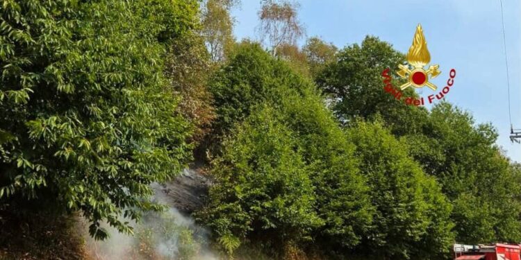 Incendio sul Monte Barone, le fiamme hanno raggiunto la strada