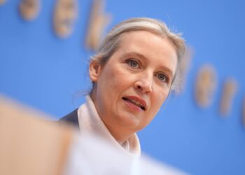 AfD, sondaggio shock in Sassonia-Anhalt: vantaggio di 20 punti sulla Cdu