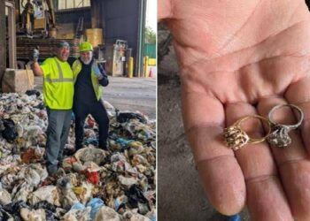 “Ho buttato due anelli tra i rifiuti”, li ritrova nella discarica: ‘miracolo’ a New York