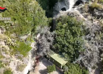 Sequestrato a Ischia resort abusivo mimetizzato tra la vegetazione