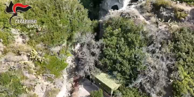 Sequestrato a Ischia resort abusivo mimetizzato tra la vegetazione