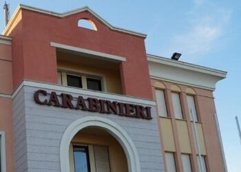 Bambino di 9 anni azzannato al volto da due cani, operato a Sassari