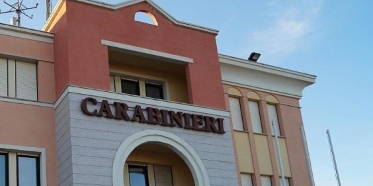 Bambino di 9 anni azzannato al volto da due cani, operato a Sassari
