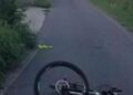 Ciclista trovato ferito a terra, il ‘pirata della strada’ era un cinghiale