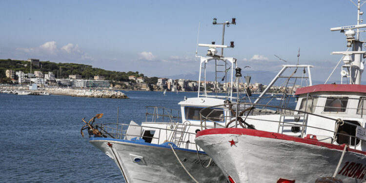 Lollobrigida, con Cambiale Azzurra 10 milioni per liquidità delle imprese della pesca