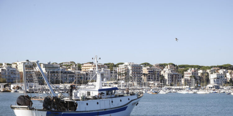 Masaf, Cambiale azzurra apre il portale per le domande, 10 milioni per la pesca
