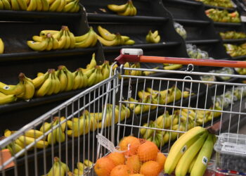 Il carrello sempre più vuoto, dal 2019 la spesa reale è diminuita del 9%
